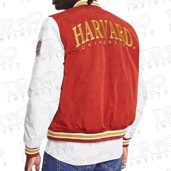 DRIP INFINITY: Men's Red Harvard Varsity Jacket (Back)